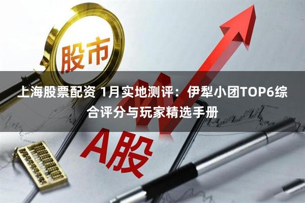 上海股票配资 1月实地测评：伊犁小团TOP6综合评分与玩家精选手册